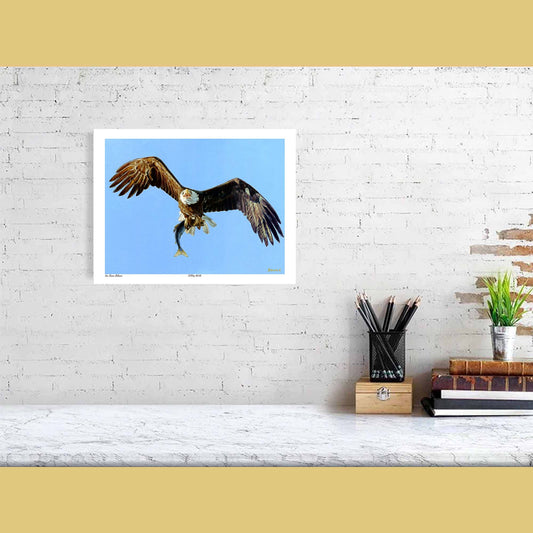 🦅 Colliding Worlds — Eternal Pursuit