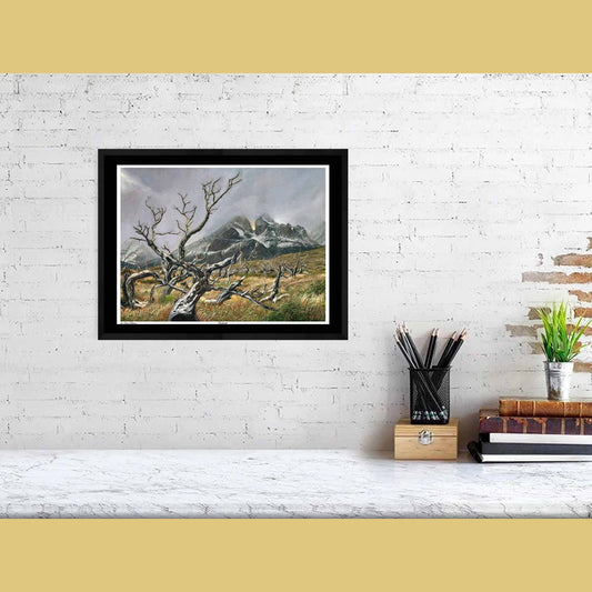 🪵 Deadwood — Beauty in Ruin