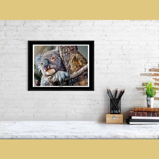 🐨Contemplation — Silent Wisdom