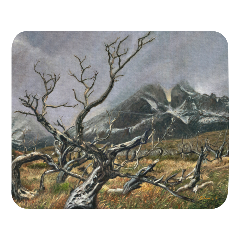 🪵Deadwood — Echo of the Ancients🌲
