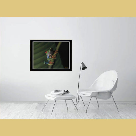 🐸Kermitted — Eyes of Mischief