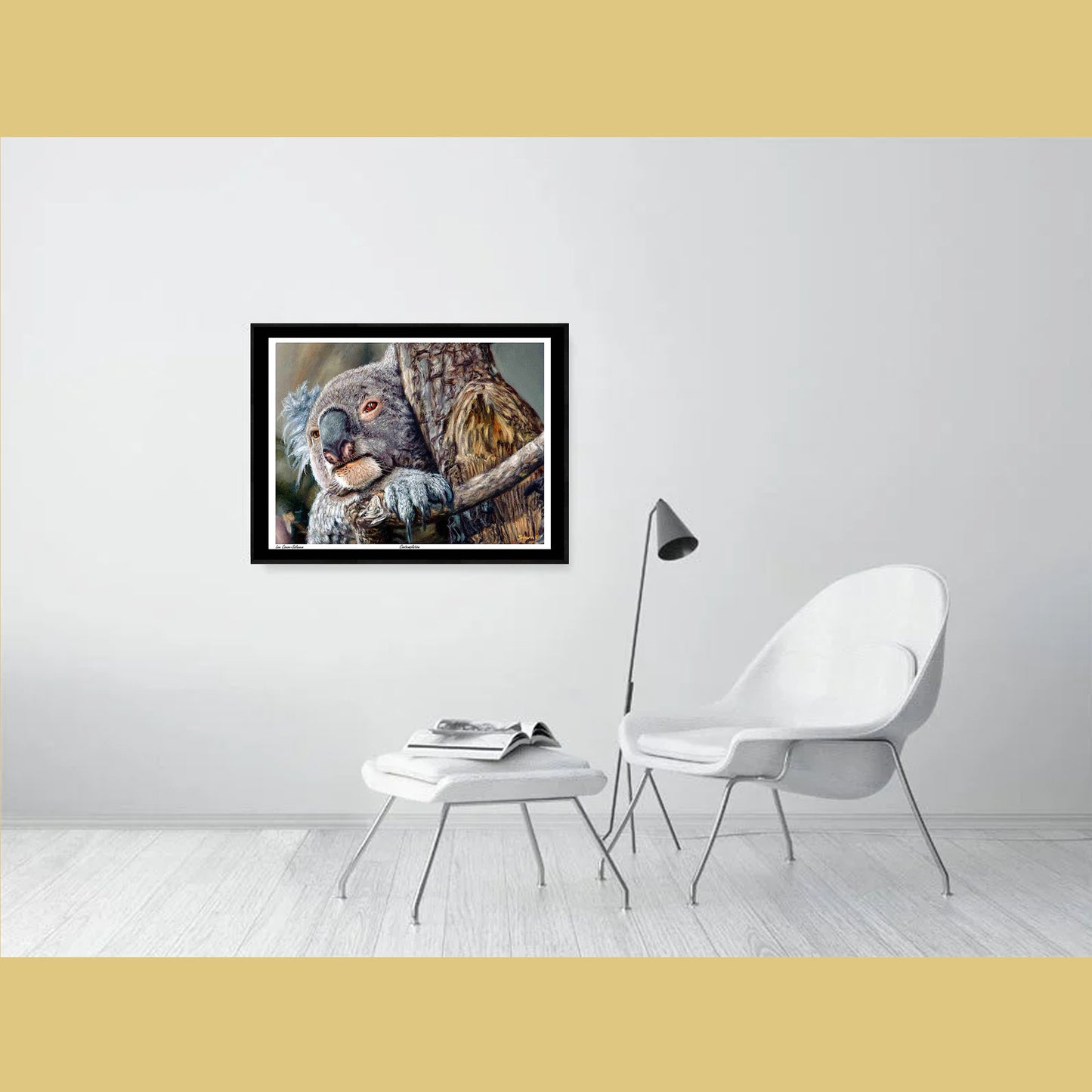 🐨Contemplation — Silent Wisdom