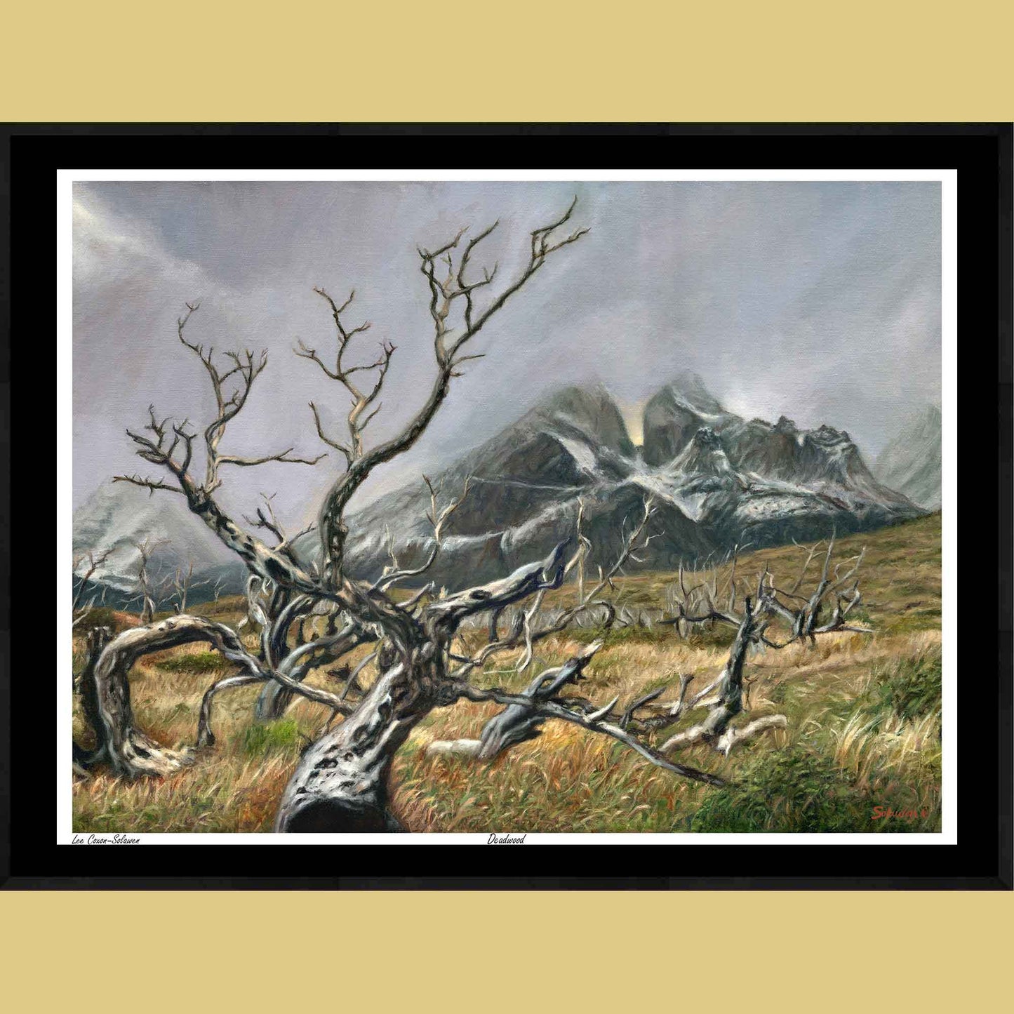 🪵 Deadwood — Beauty in Ruin