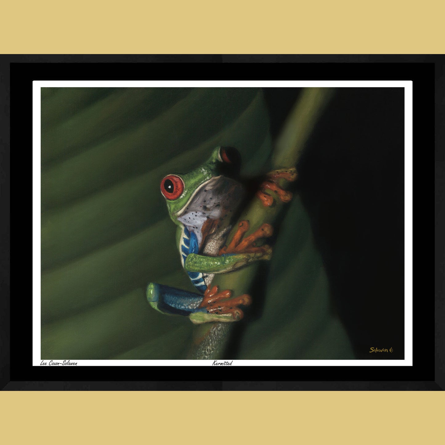 🐸Kermitted — Eyes of Mischief