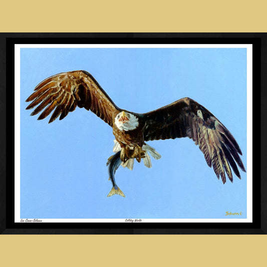 🦅 Colliding Worlds — Edge of Survival