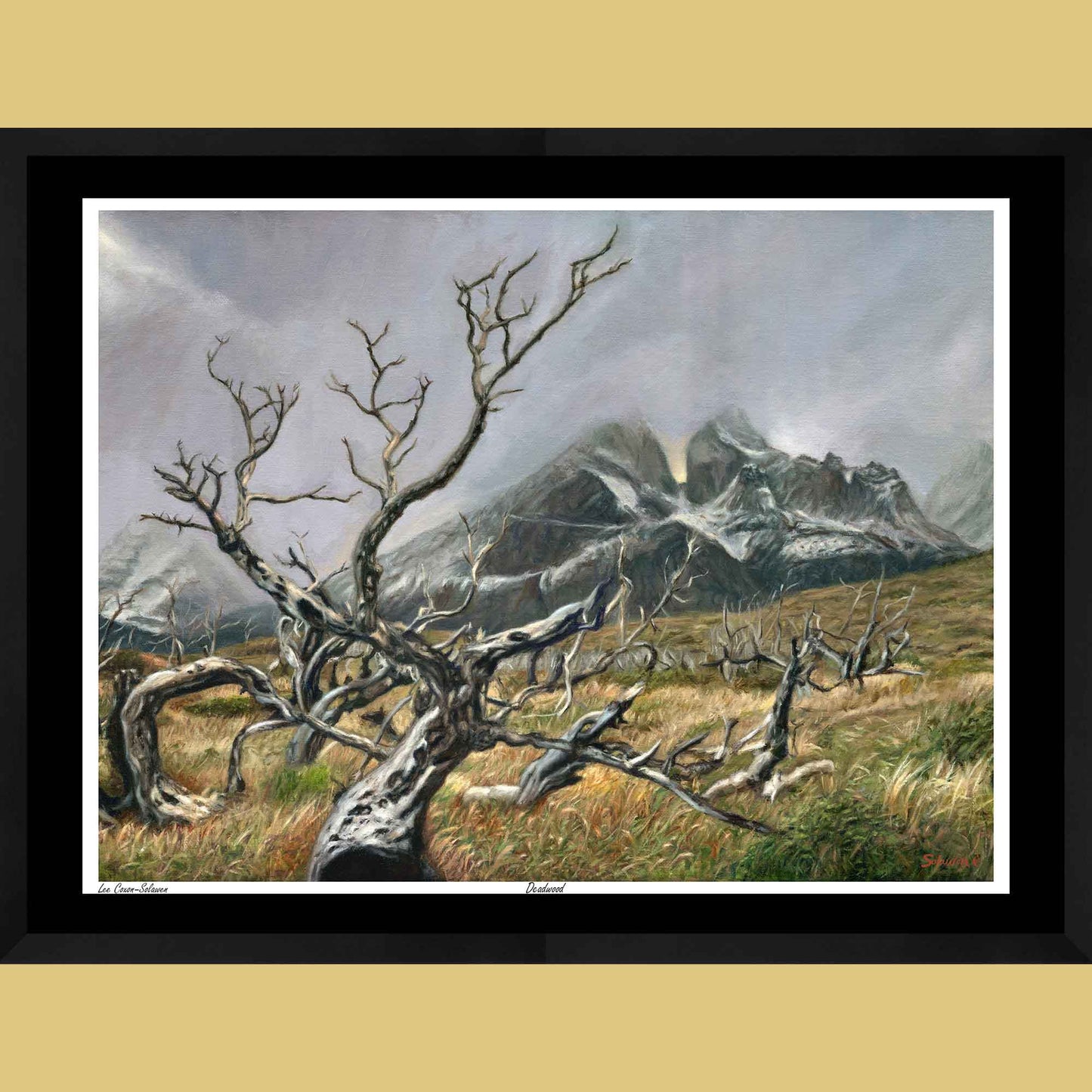 🪵 Deadwood — Beauty in Ruin