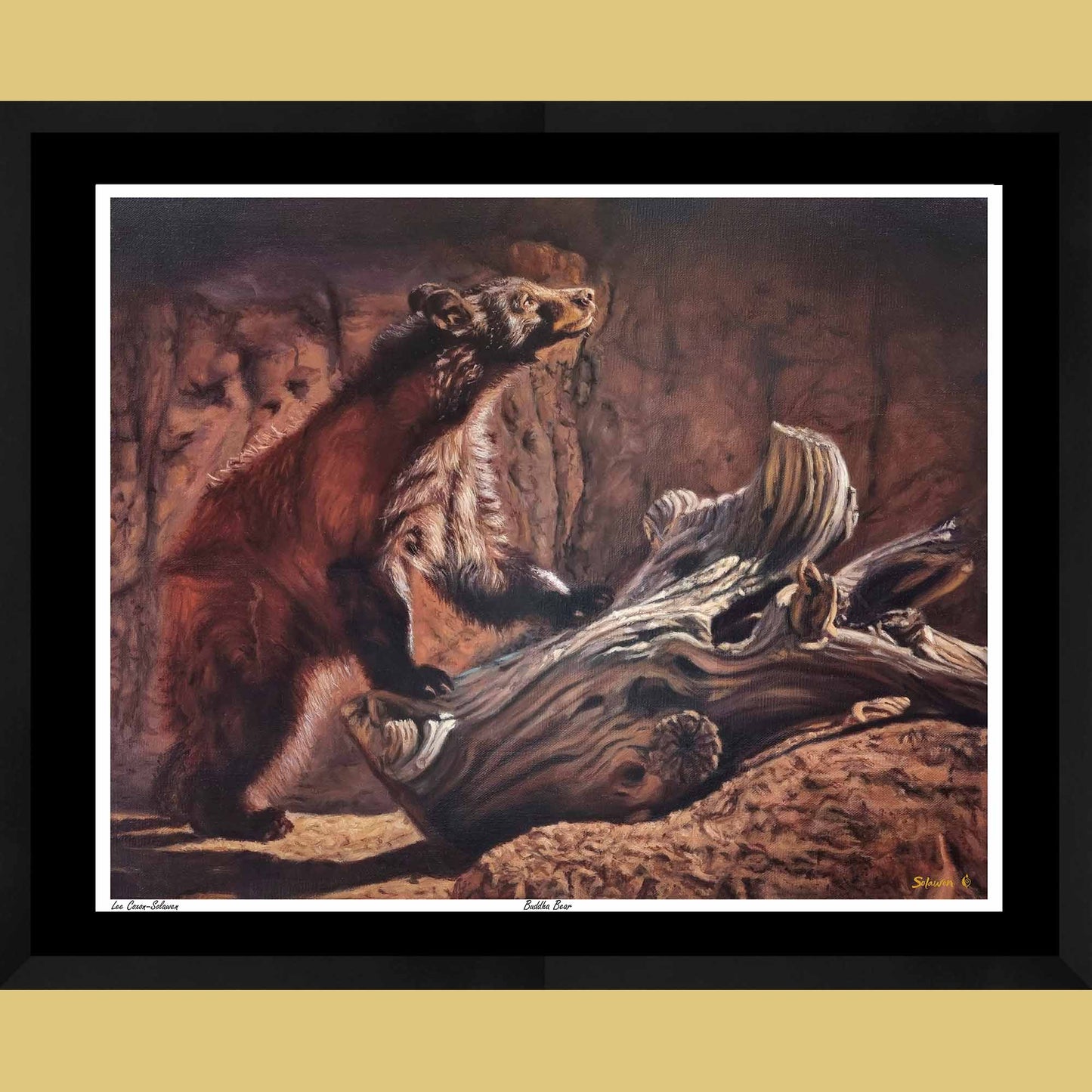 🧘‍♂️ Buddha Bear — Eyes of Eternity