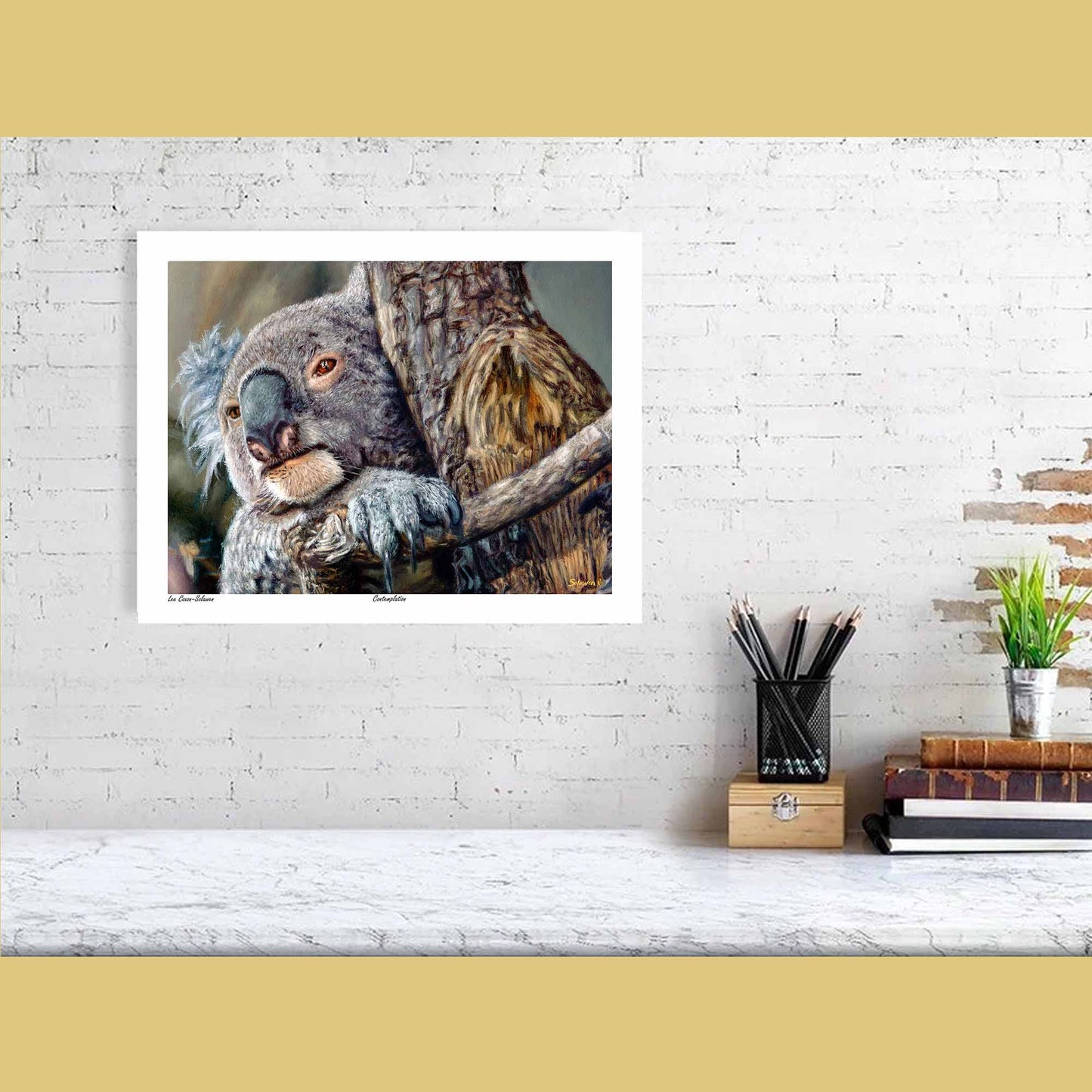 🐨Contemplation — Patient Spirit