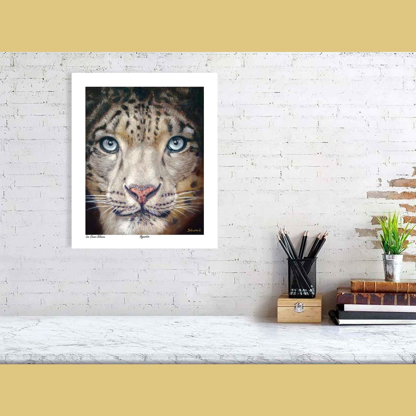 🐆Hypnotise — Wild Silence❄️