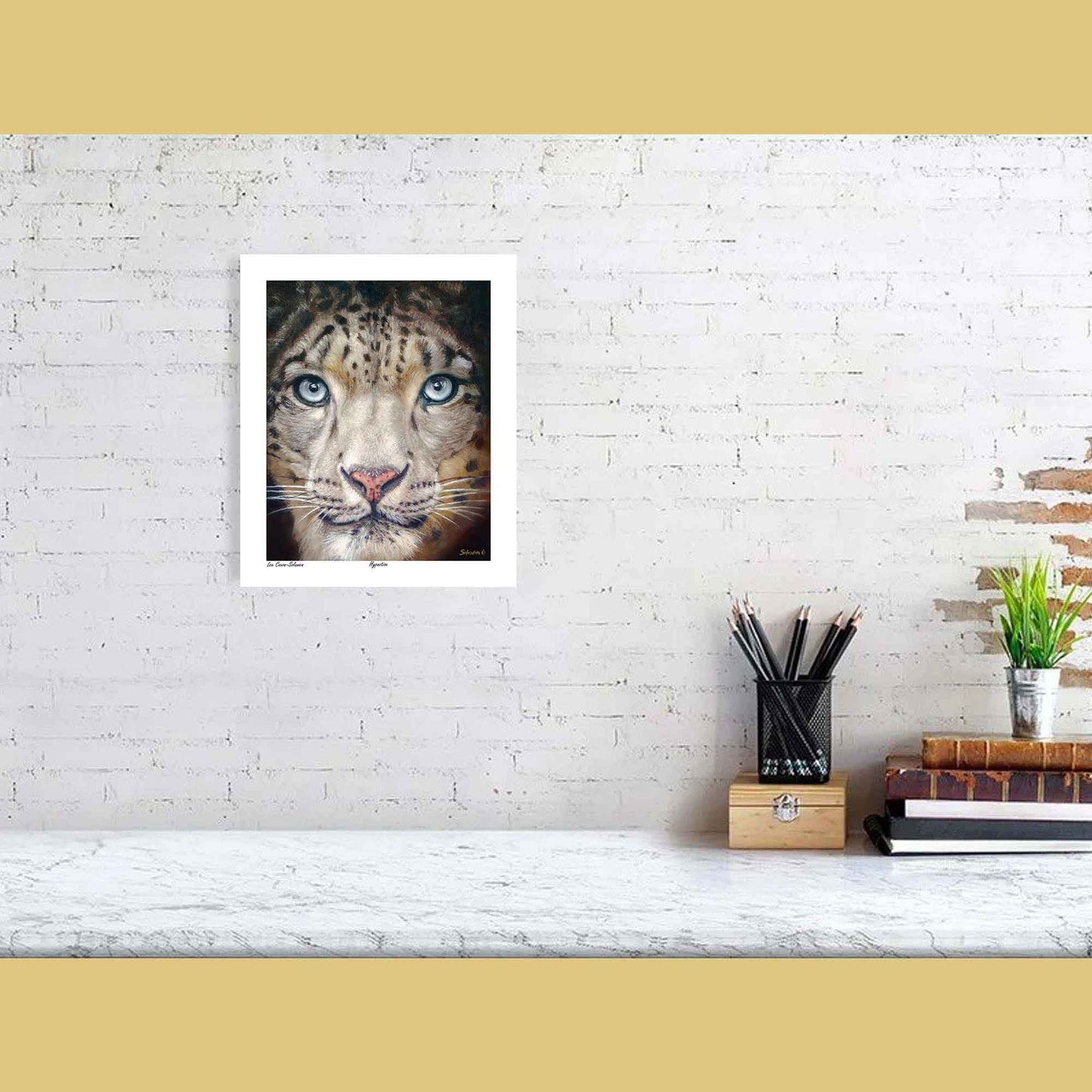 🐆Hypnotise — Wild Silence❄️