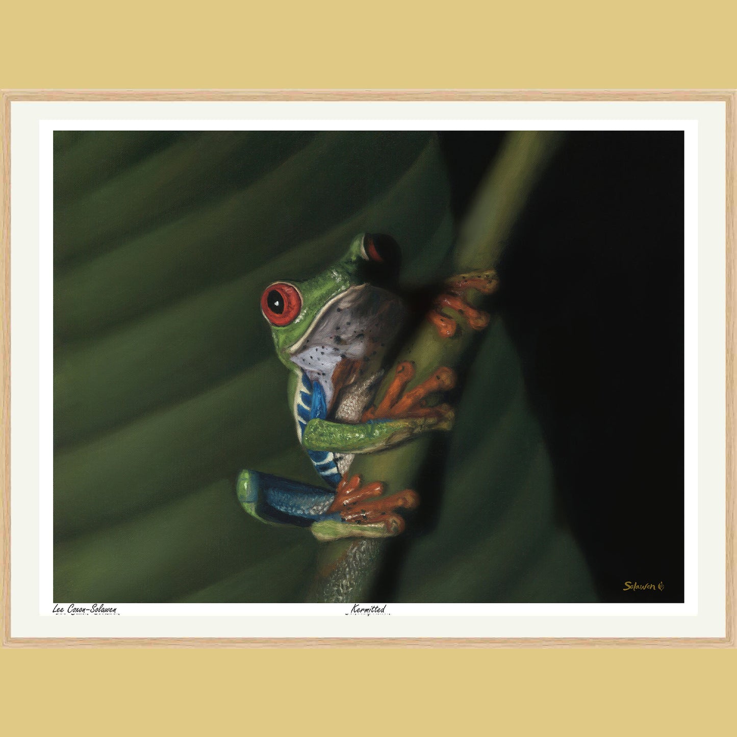 🐸Kermitted — Eyes of Mischief