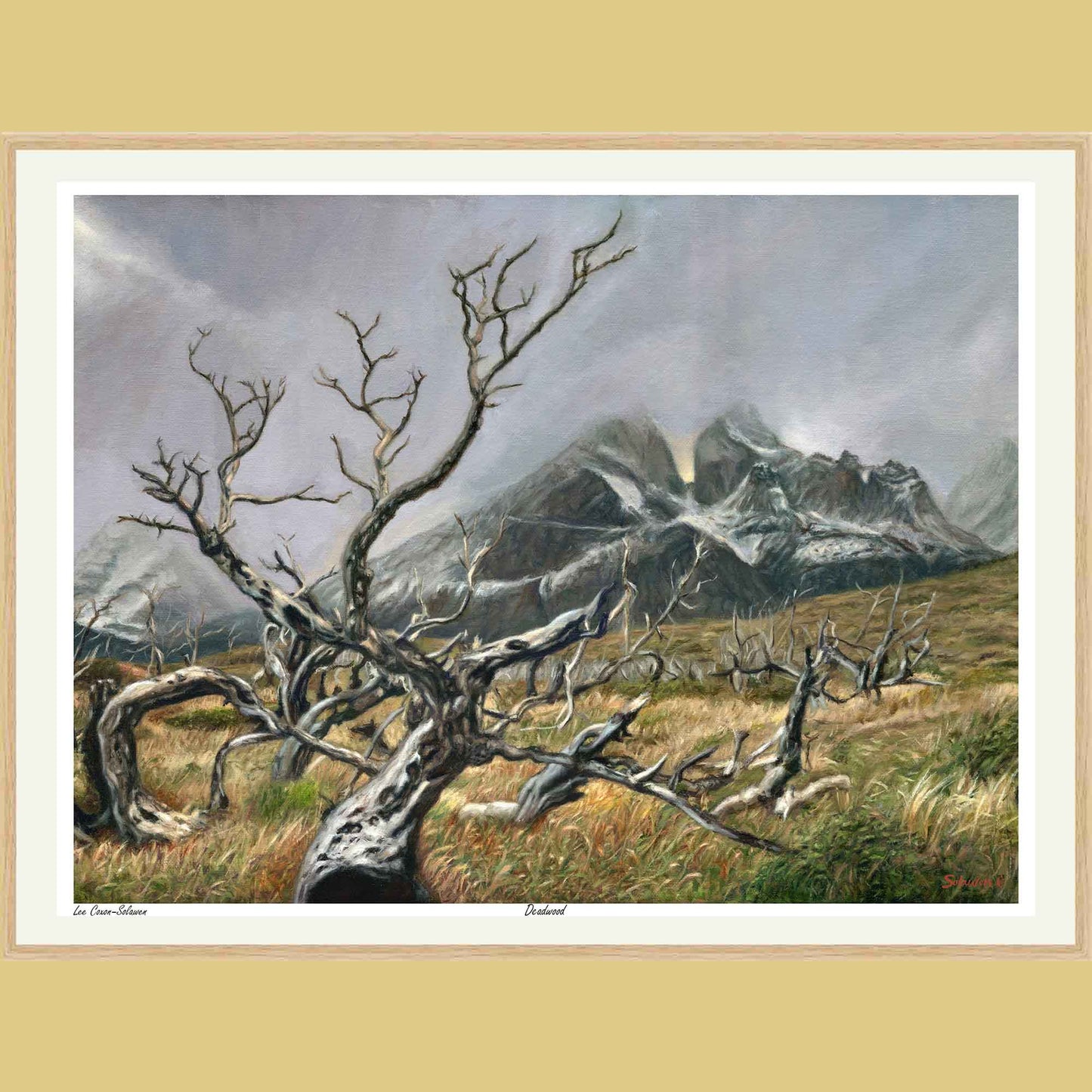 🪵 Deadwood — Beauty in Ruin