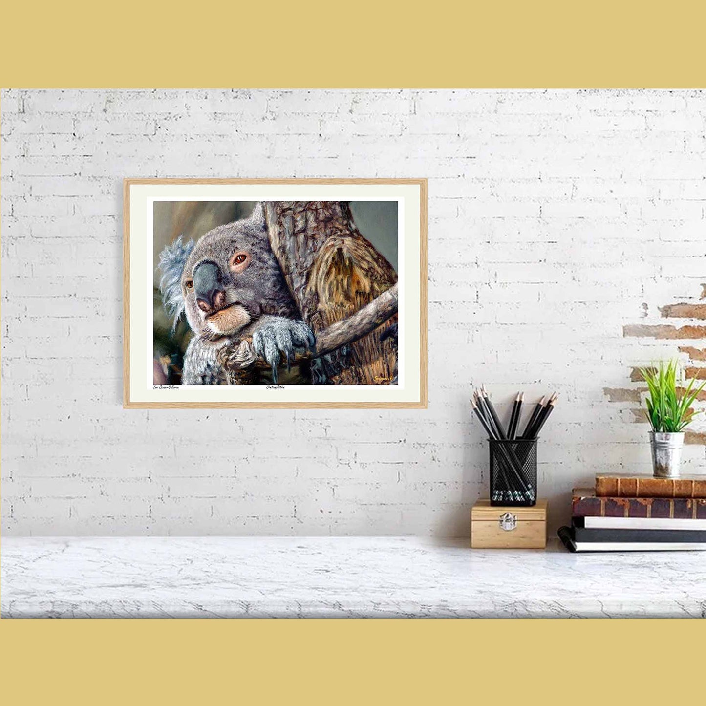 🐨Contemplation — Silent Wisdom