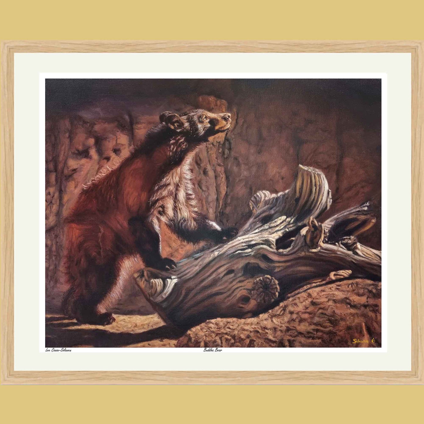 🧘‍♂️ Buddha Bear — Eyes of Eternity