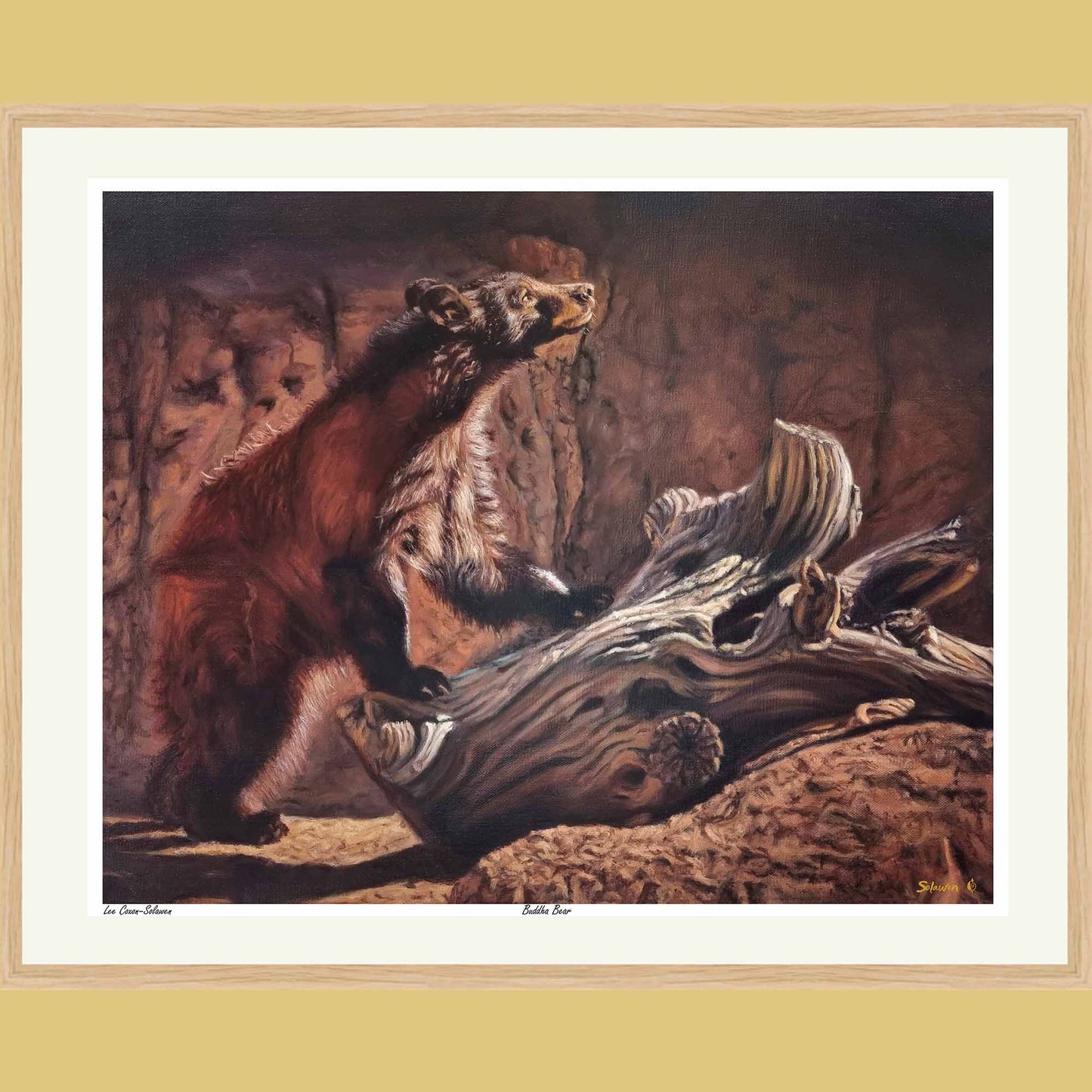 🧘‍♂️ Buddha Bear — Eyes of Eternity