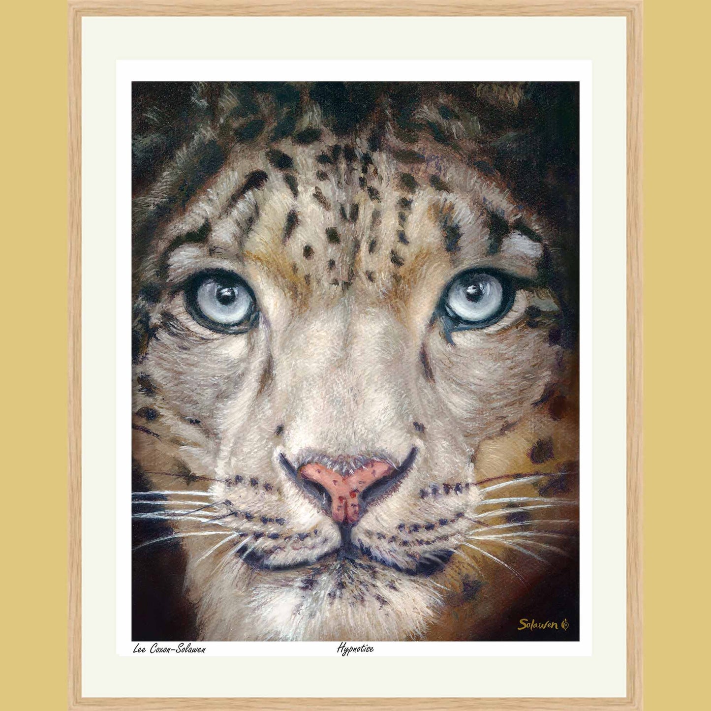 🐆Hypnotise — Eyes of Eternity❄️