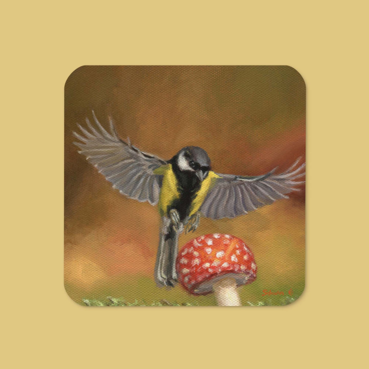 🐦Perfect Landing — The Pause Between Beats🍄