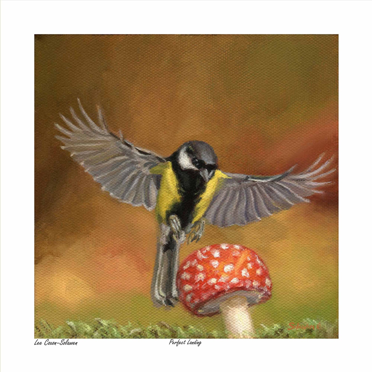 🐦 Perfect Landing — Feathers in Balance