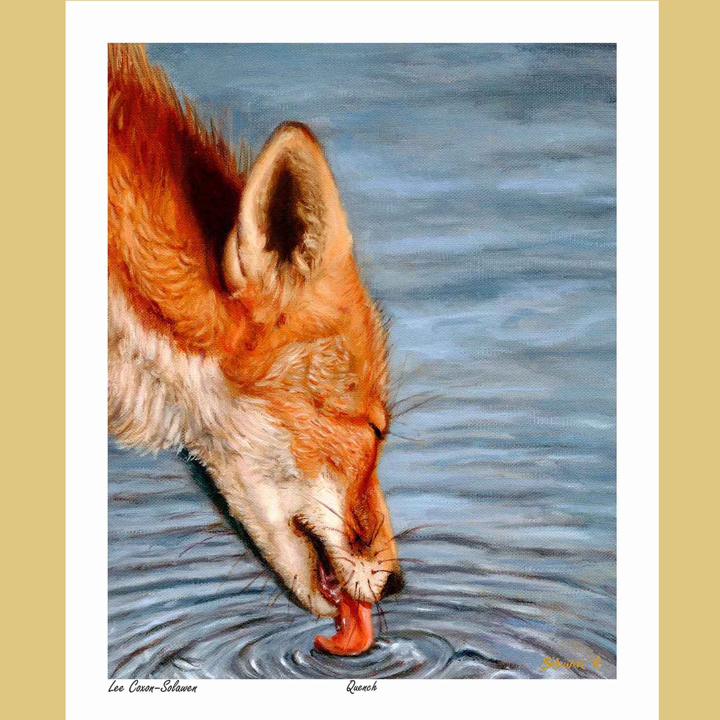 🦊 Quench — Wild Rest