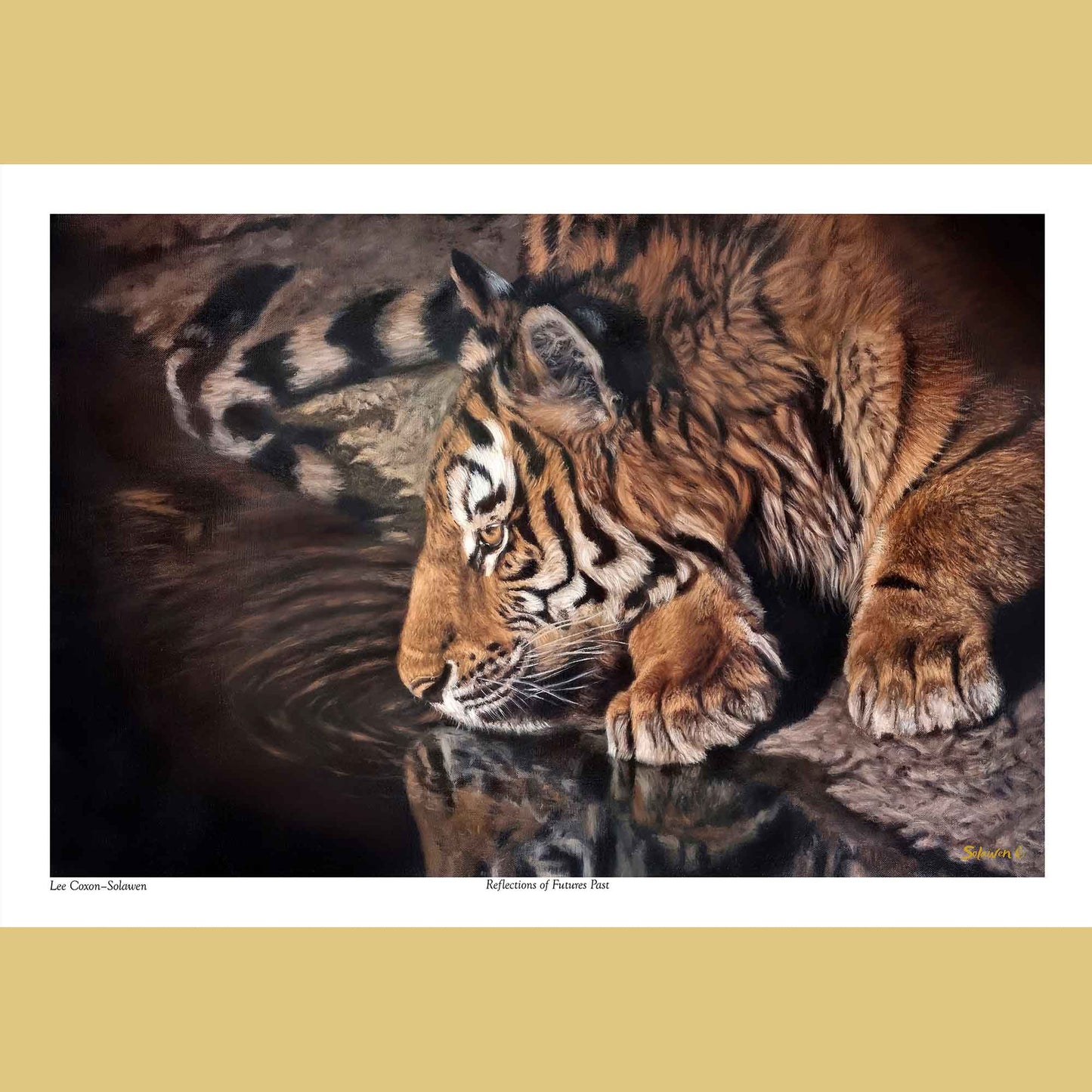 🐅 Reflections of Futures Past — Hidden Depths