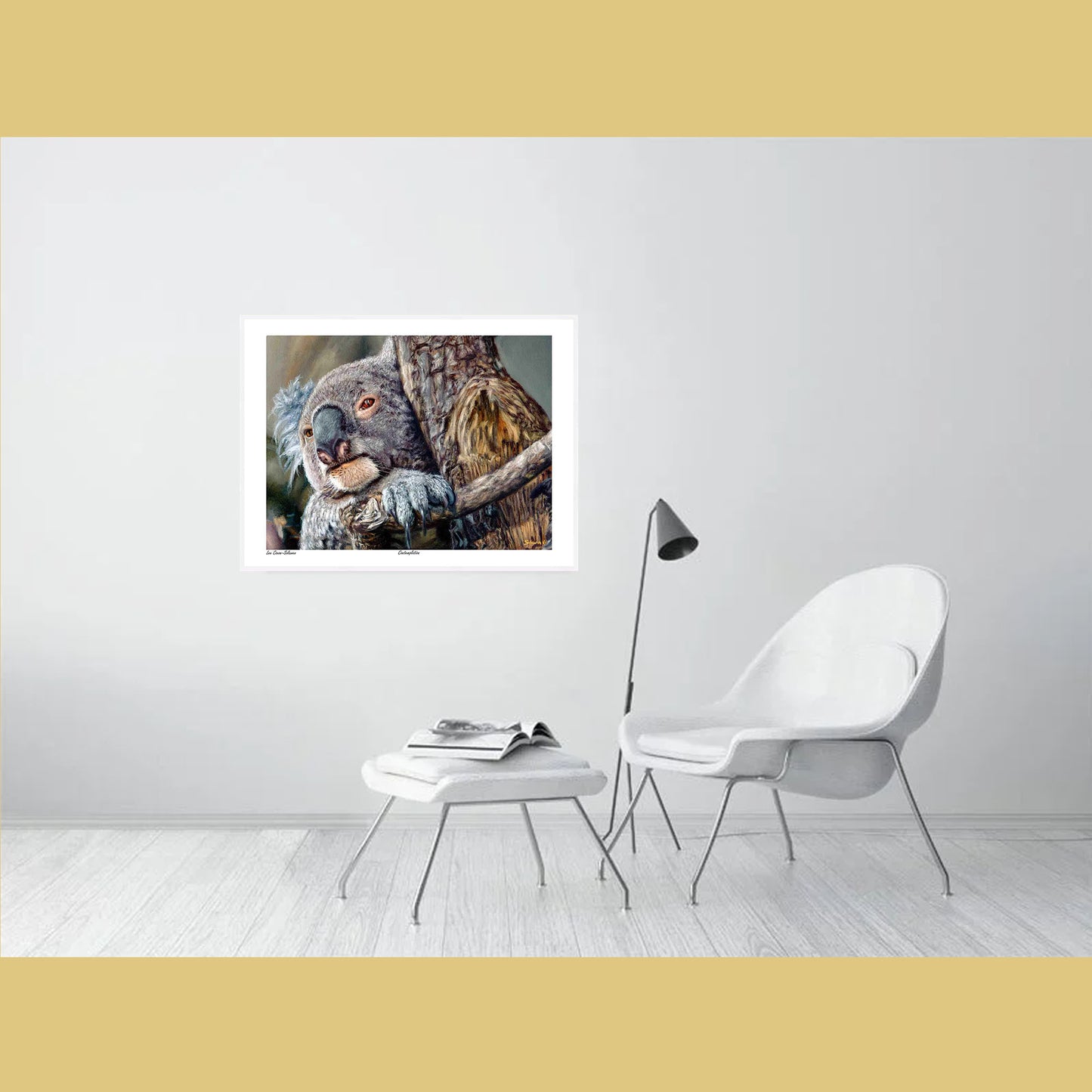 🐨Contemplation — Silent Wisdom