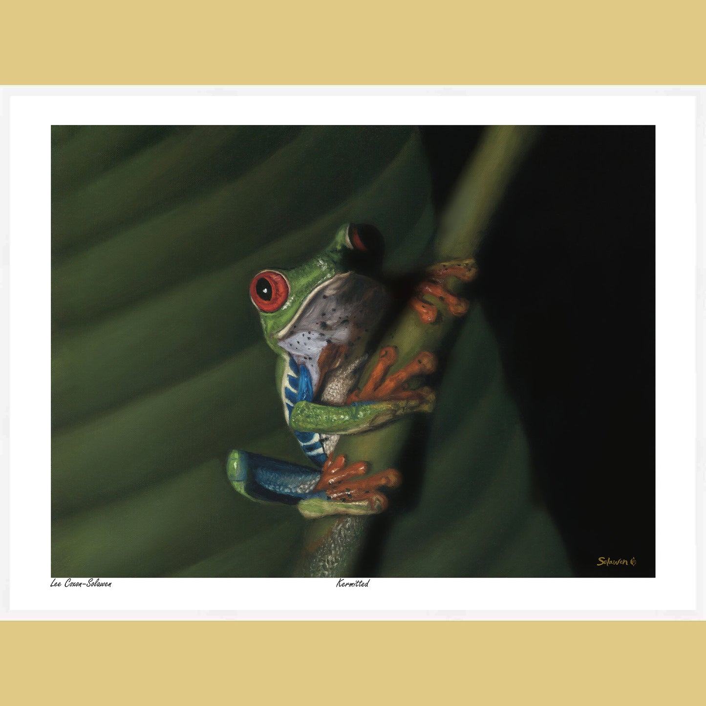 🐸Kermitted — Eyes of Mischief