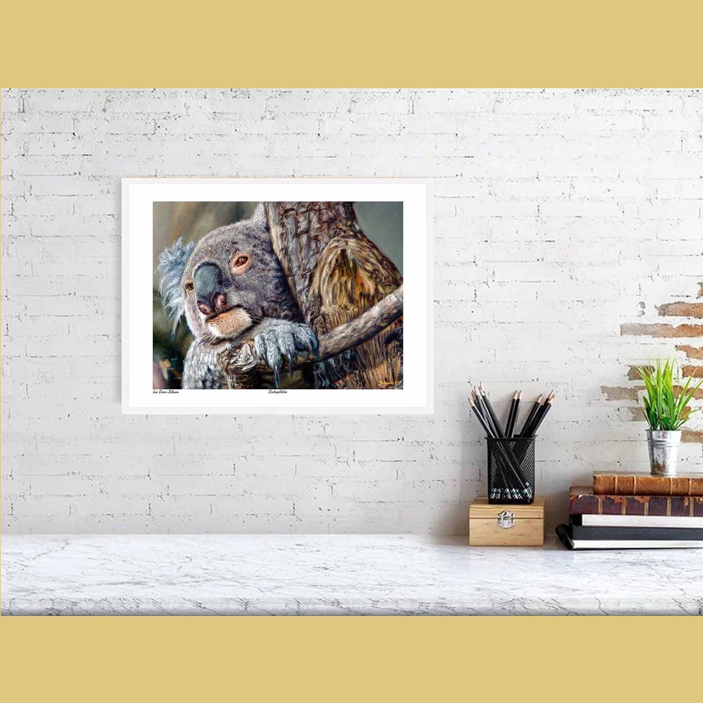 🐨Contemplation — Silent Wisdom