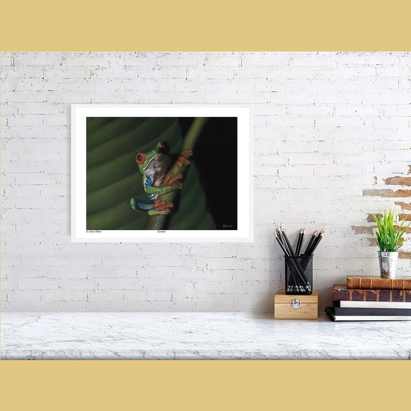 🐸Kermitted — Eyes of Mischief