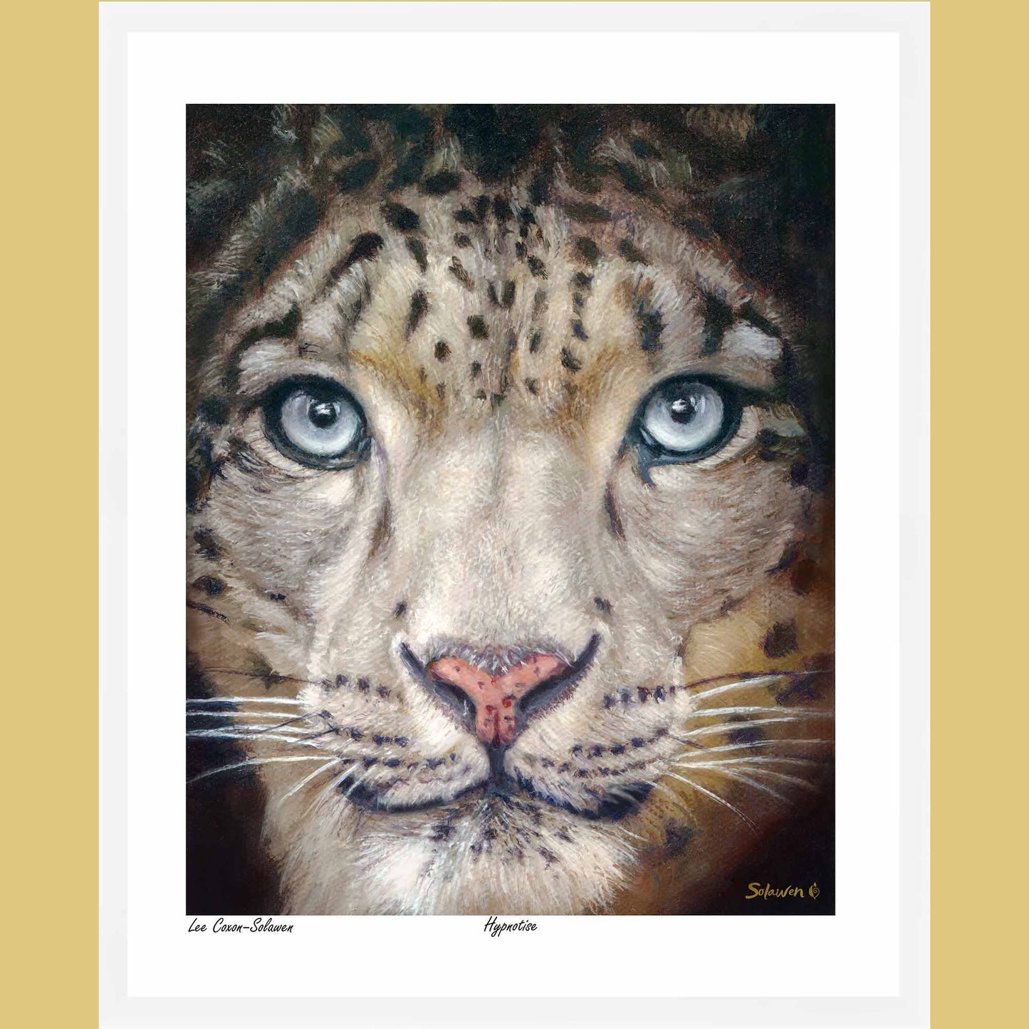 🐆Hypnotise — Eyes of Eternity❄️