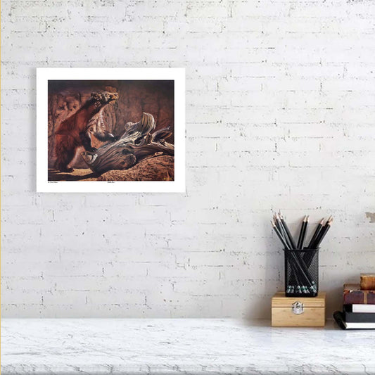 🐻 Buddha Bear — Eyes of Eternity