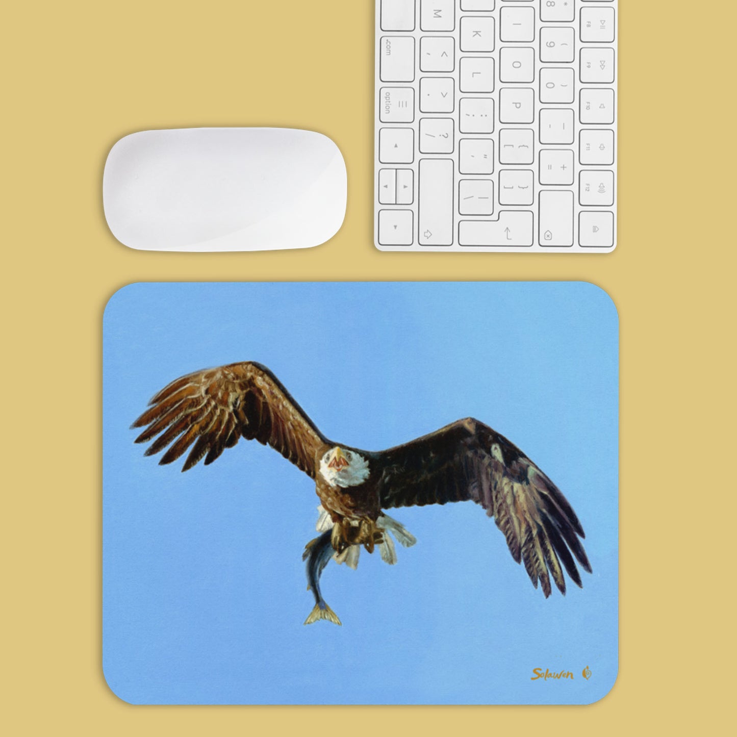 🦅Colliding Worlds — Talons Over Tides🦅