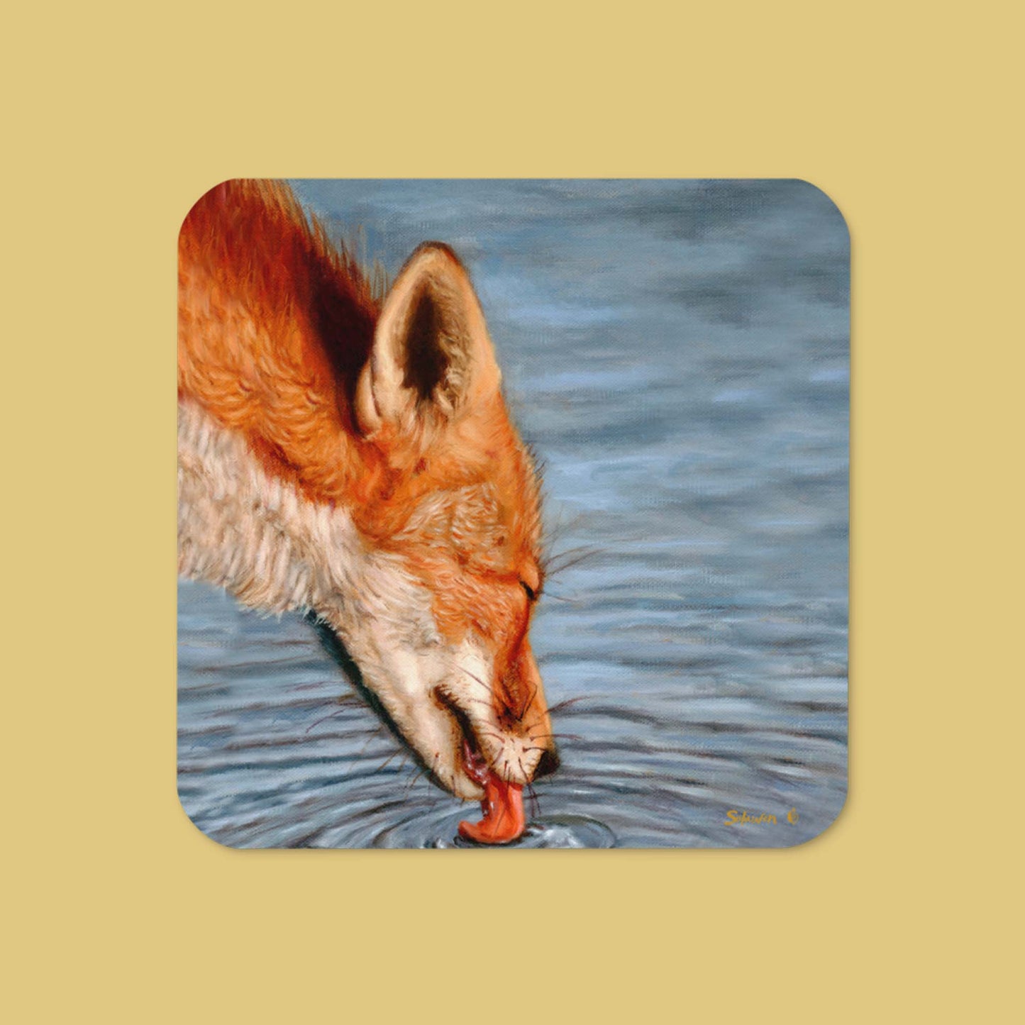🦊Quench — Ripples of Memory🦊