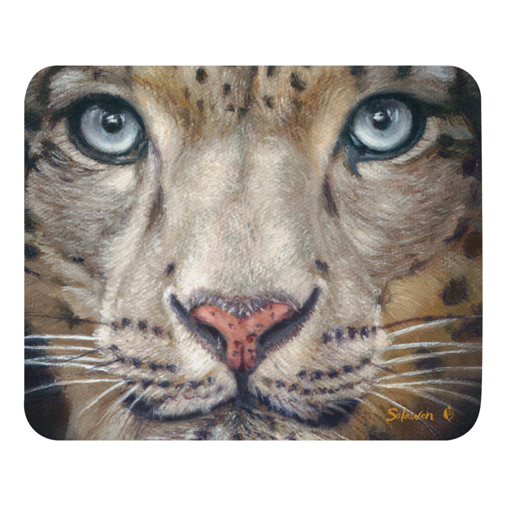 🐆Hypnotise — Stillness Unbroken❄️