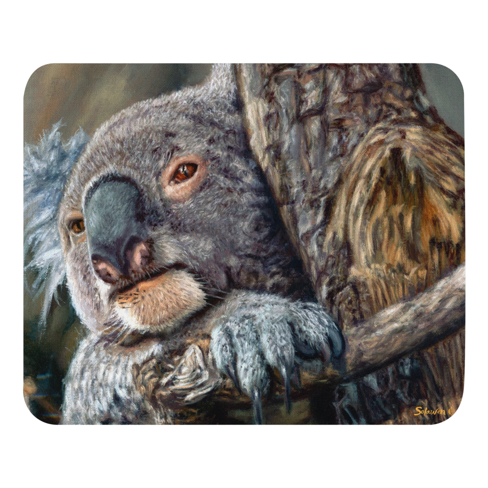 🐨Contemplation — Stillness Speaks🌿
